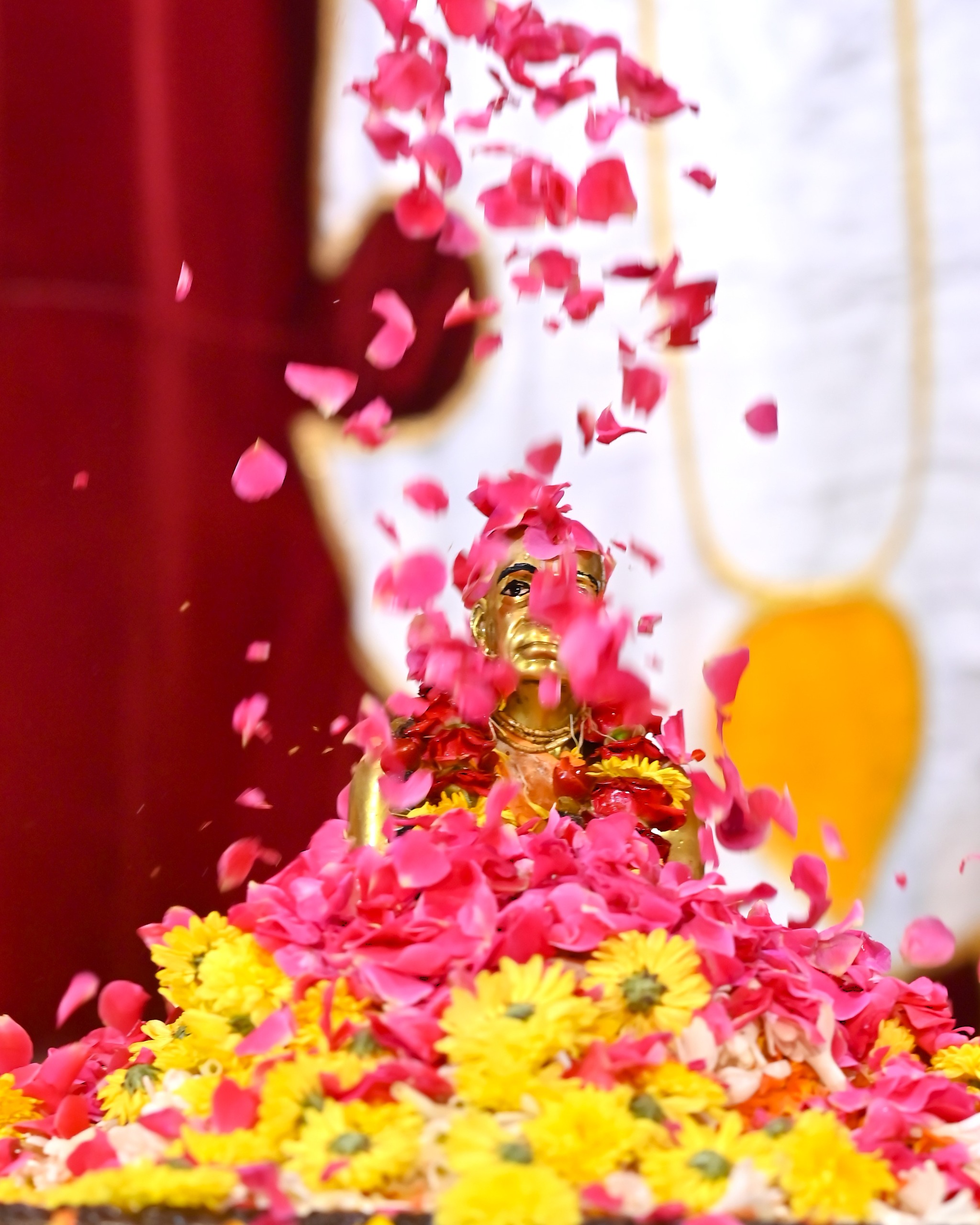 Vijaya Utsav 2025