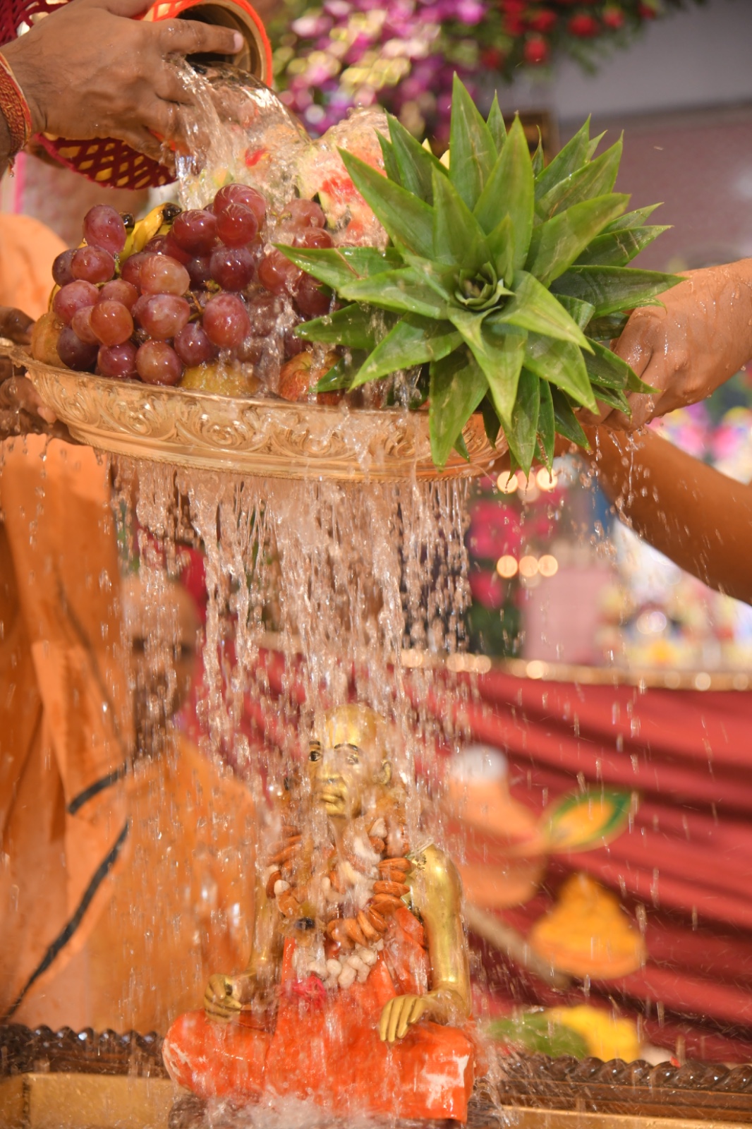 Disappearance Day of Srila Prabhupada 2025