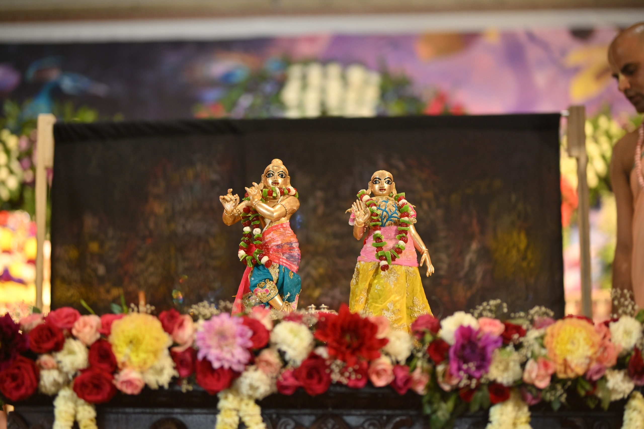 WhatsApp Image 2026-02-24 at 16.00.19