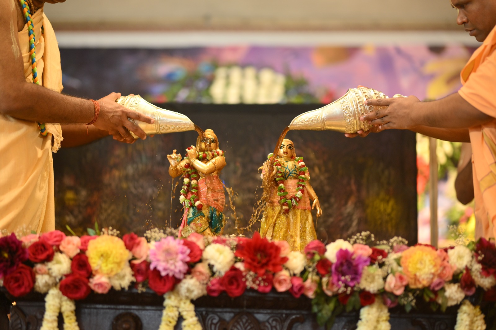 WhatsApp Image 2026-02-24 at 16.00.21