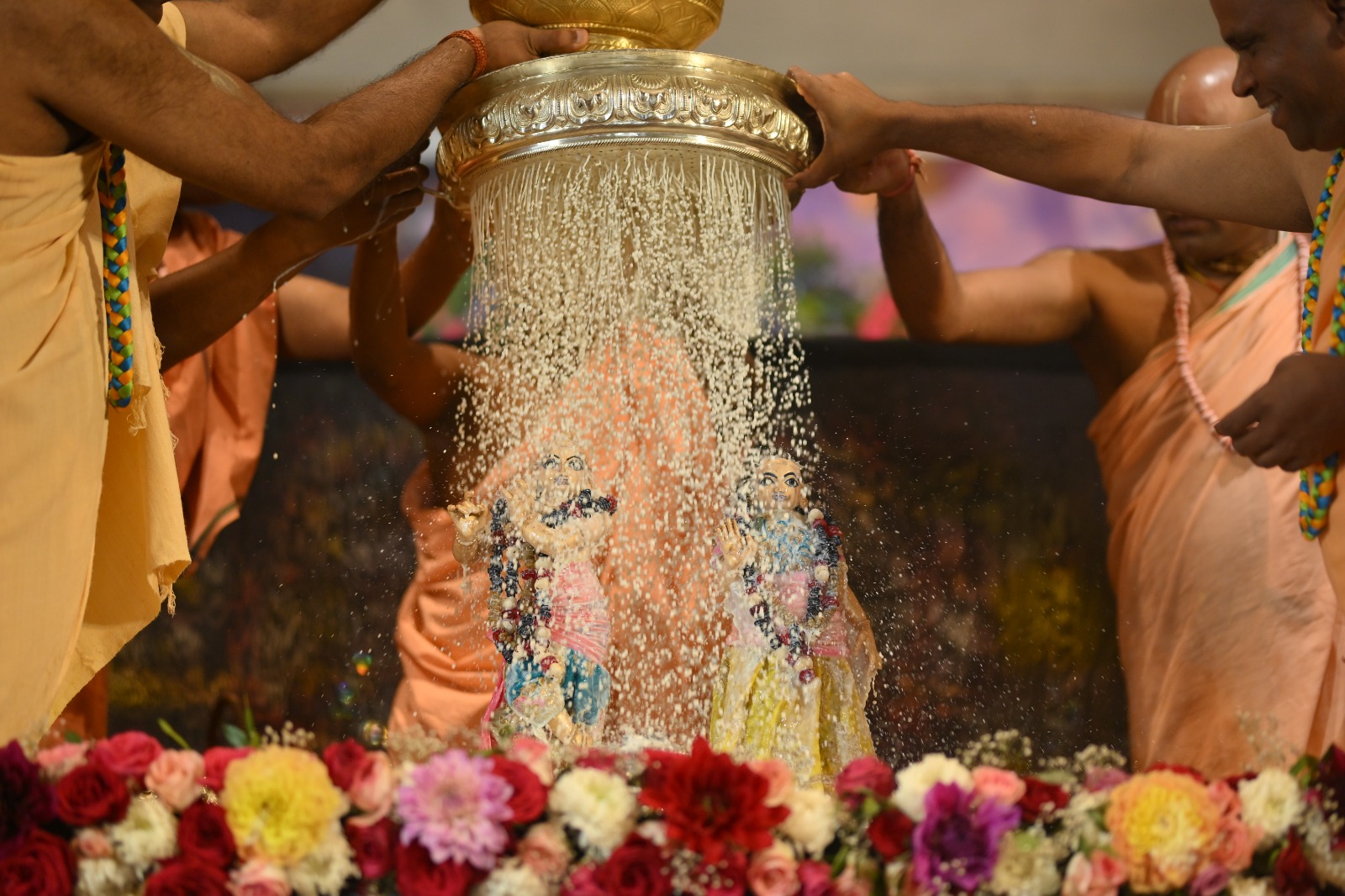 WhatsApp Image 2026-02-24 at 16.00.22 (2)