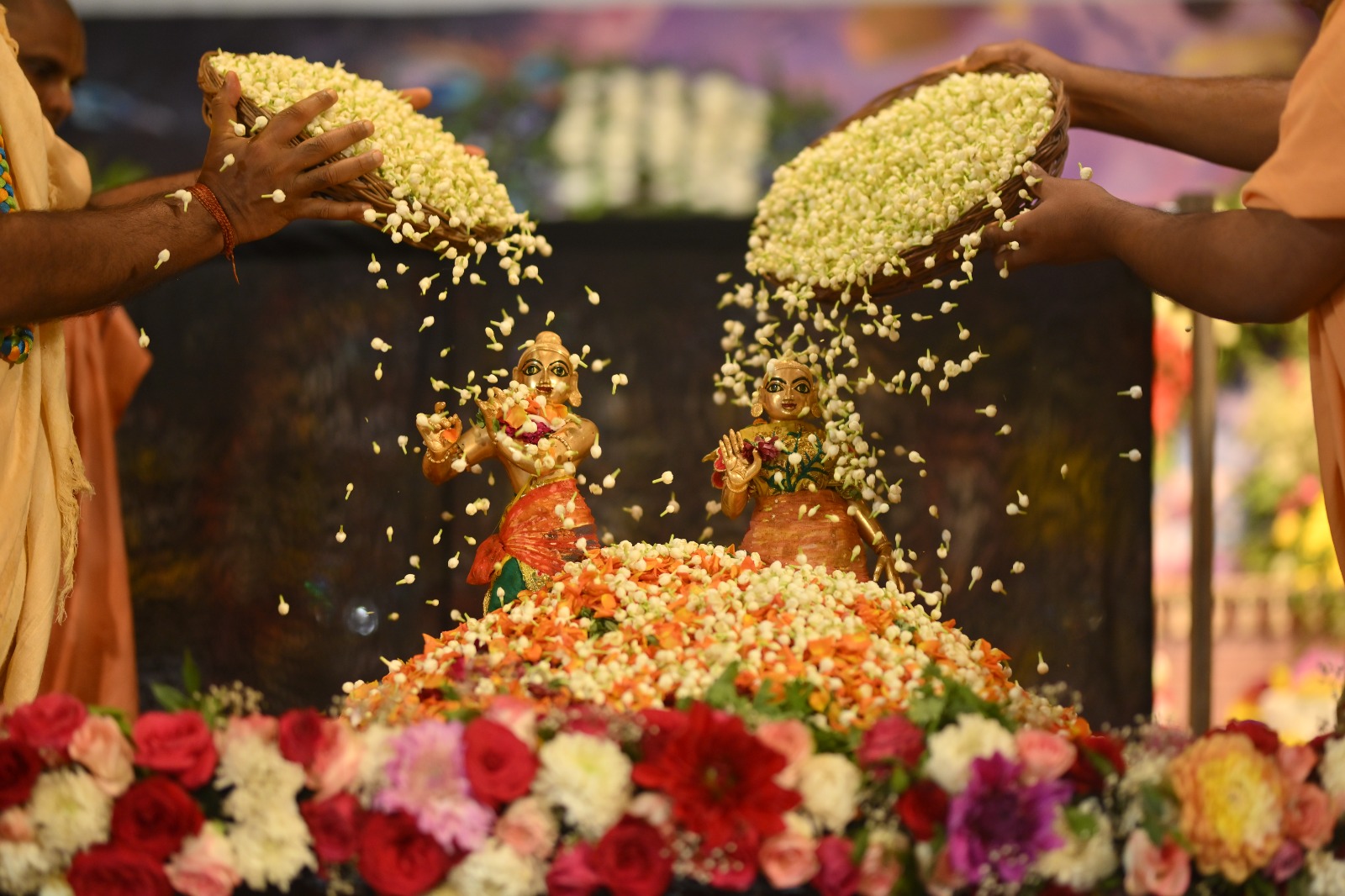 WhatsApp Image 2026-02-24 at 16.00.24 (1)