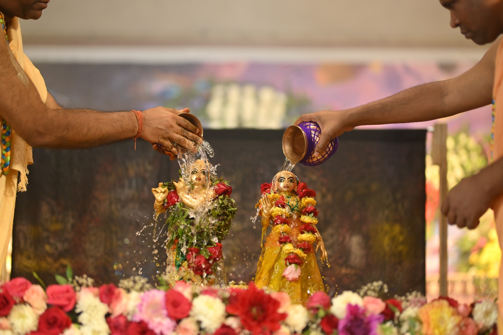 WhatsApp Image 2026-02-24 at 16.00.24