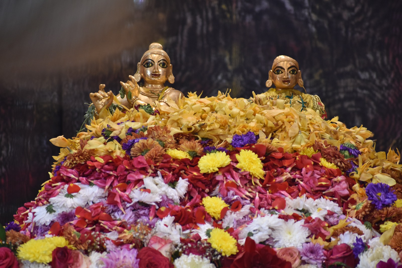 WhatsApp Image 2026-02-24 at 16.00.25