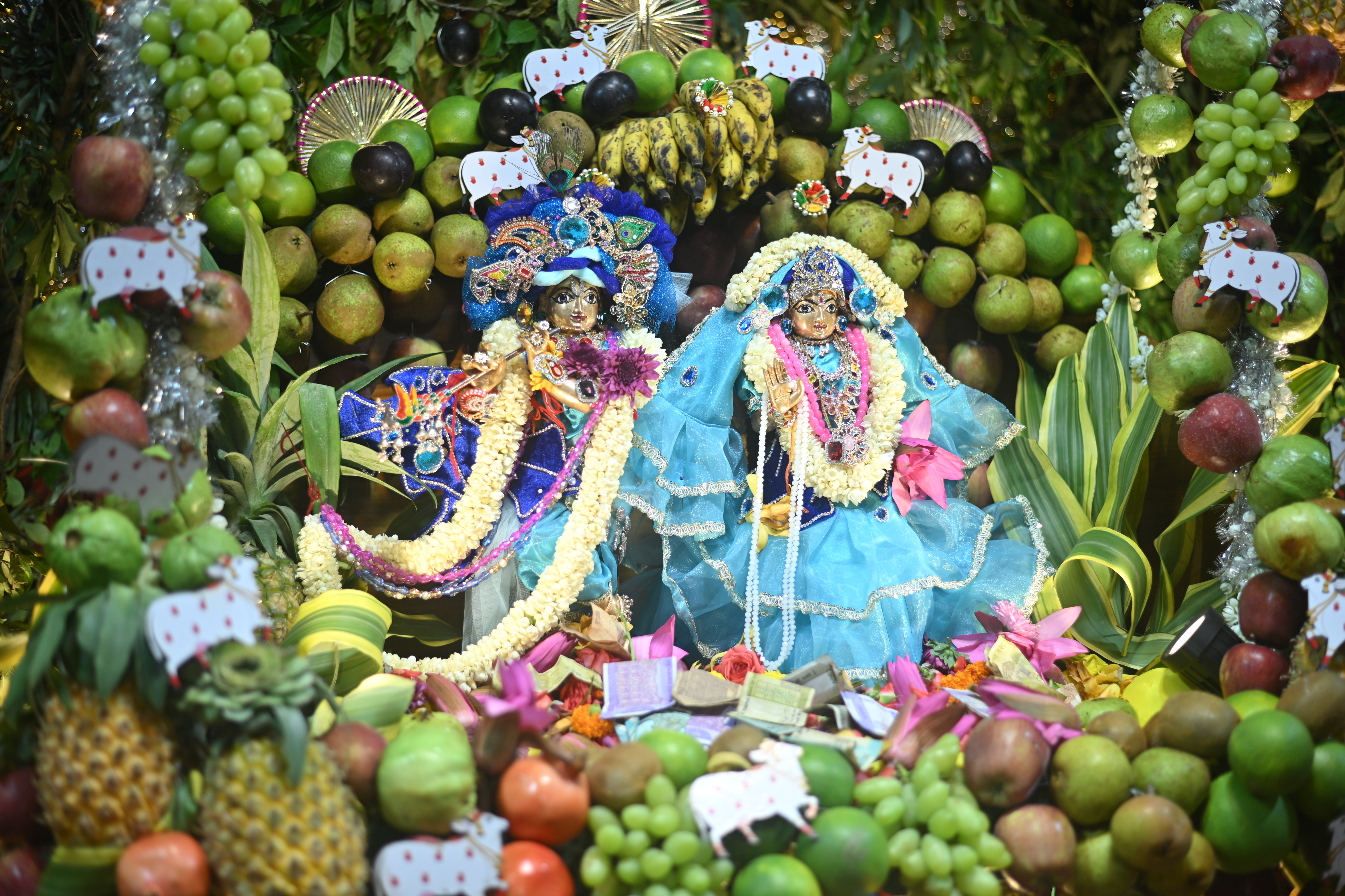 image00016