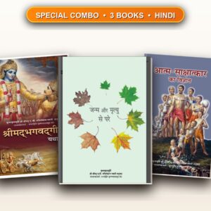 Special Bhagavad Gita Combo (Hindi)
